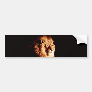 Autocollant De Voiture Lion