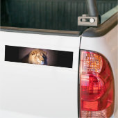 Autocollant De Voiture Lion (Sur camion)