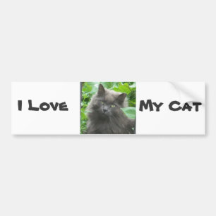 Autocollant De Voiture Long Haired Gray Russian Blue Cat