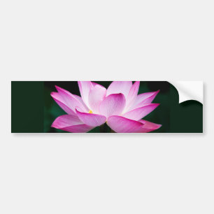 Autocollant De Voiture Lotus rose