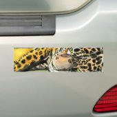 Autocollant De Voiture Lounge Leopard (En voiture)
