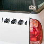 Autocollant De Voiture Loup (Sur camion)