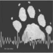 Autocollant de voiture loup à cinq pattes (Devant)