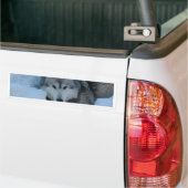 Autocollant De Voiture Loup gris (Sur camion)