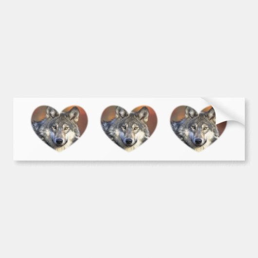 Autocollant De Voiture Loup gris (Devant)