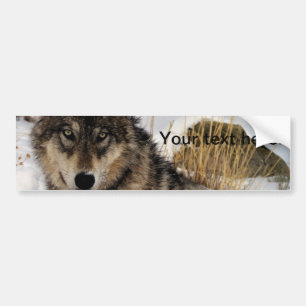 Autocollant De Voiture Loup gris ou loup de bois de construction