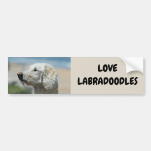 Autocollant De Voiture Love Labradoodles