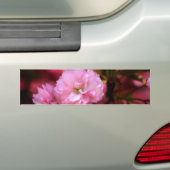 Autocollant De Voiture Lovely Spring Pink Cherry Blossoms (En voiture)