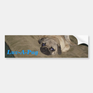 Autocollant De Voiture Luv-UN-Carlin