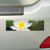 Autocollant De Voiture Lys d'eau (En voiture)