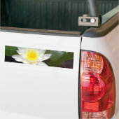 Autocollant De Voiture Lys d'eau (Sur camion)