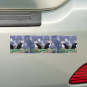 Autocollant De Voiture Macareux à cornes (En voiture)