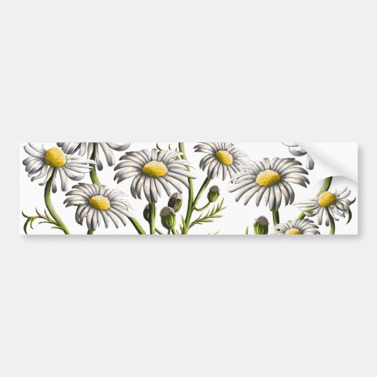 Autocollant De Voiture Magnet Plante Chamomile (Devant)