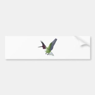 Autocollant De Voiture Mâle du colibri d'Anna