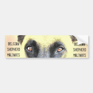 Autocollant De Voiture Malinois belges de berger d'adhésif pour