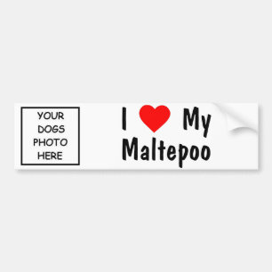 Autocollant De Voiture Maltepoo