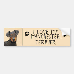 Autocollant De Voiture Manchester Terrier Peinture Art animal original
