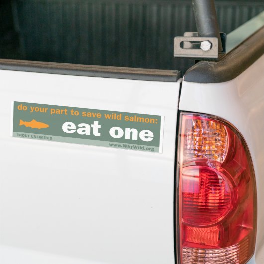 Autocollant De Voiture Mangez un adhésif pour pare-chocs (Sur camion)