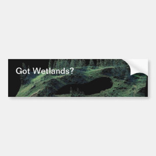 Autocollant De Voiture Marécages passés ?