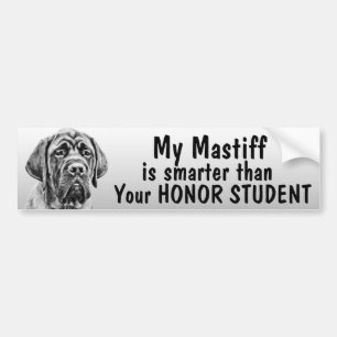Autocollant De Voiture Mastiff plus futé que votre étudiant d'honneur -