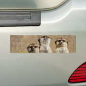 Autocollant De Voiture Meerkats (En voiture)