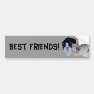 Autocollant De Voiture Meilleurs amis Bordure Collie & Berger allemand