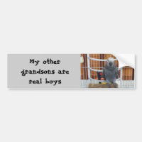 Mes autres petits-fils sont de vrais garçons