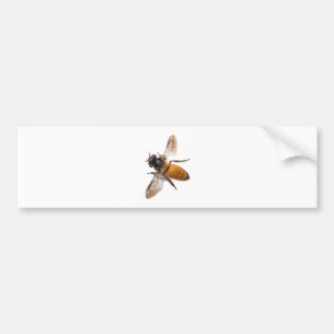 Autocollant De Voiture Miel Bee