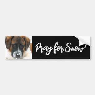 Autocollant De Voiture Mignonne Saint Bernard Priez pour la neige ! Stick
