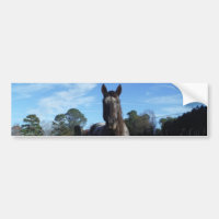 Milk Chocolate Brown Horse in Blue