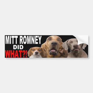 Autocollant De Voiture MITT ROMNEY A FAIT CE QUI ? ! Chien sur l'ADHÉSIF