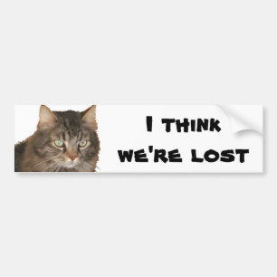 Autocollant De Voiture Mon chat pense que nous sommes perdus
