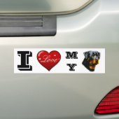 Autocollant De Voiture Montrez votre fierté (En voiture)