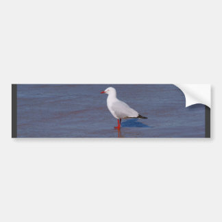 Autocollant De Voiture Mouette argentée