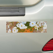 Autocollant De Voiture Mur espagnol (En voiture)