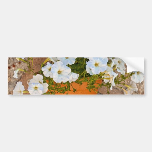 Autocollant De Voiture Mur espagnol (Devant)