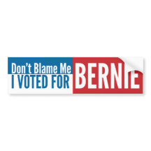Ne me blâmez pas que j'ai voté pour Bernie
