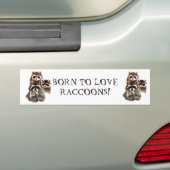 AUTOCOLLANT DE VOITURE NÉ POUR AIMER RACCOONS FUNNY ANIMAL QUOTE (En voiture)