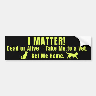 Autocollant De Voiture Neon Yellow "I Matter"