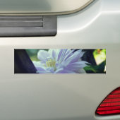Autocollant De Voiture Nestled Clematis Flower (En voiture)