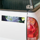 Autocollant De Voiture Nestled Clematis Flower (Sur camion)