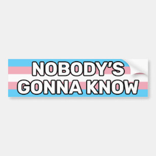Autocollant De Voiture Nobody's Gonna Know White Trans Pride Flag Funny