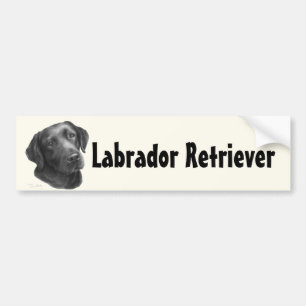 Autocollant De Voiture Noir/chocolat labrador retriever