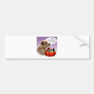 Autocollant De Voiture Norfolk Terrier Halloween Candy