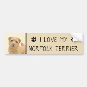 Autocollant De Voiture Norfolk Terrier Peinture - Art Chien original