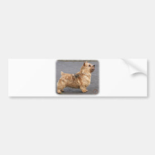 Autocollant De Voiture Norwich Terrier