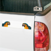 Autocollant De Voiture Notes post-it de perroquet (Sur camion)