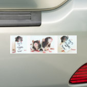Autocollant De Voiture Nourriture 2 d'amis des rats R pas (En voiture)