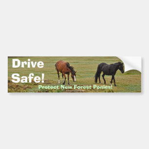 Autocollant De Voiture Nouveaux Ponies Forestières de Hampshire Angleterr