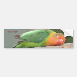 Autocollant De Voiture Oiseau d'amour dormant
